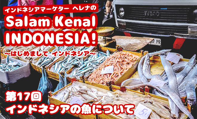 インドネシアの魚について　Salam Kenal INDONESIA! Vol.17